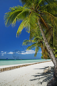 位于菲利平斯的波罗卡多岛热带海滩情调异国游客天堂吸引力假期晴天旅游图片
