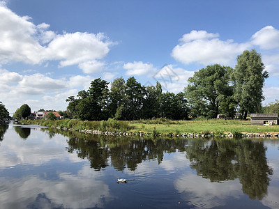 Gorredijk地盘路线运河运河农田动物草坪图片