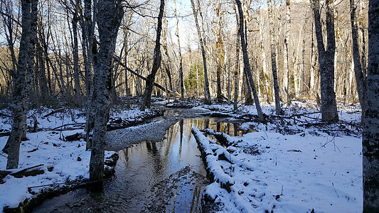 带雪的小河阴影森林溪流反射图片