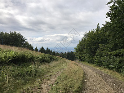 山的路径背景图片