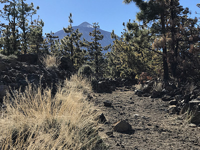 一座火山的迭伊德山图片