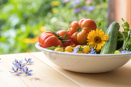 城市园艺 在自己的花园里种植的新鲜蔬菜 番茄 和草药乡村栽培地球营养种植园食物健康农业收成生态图片