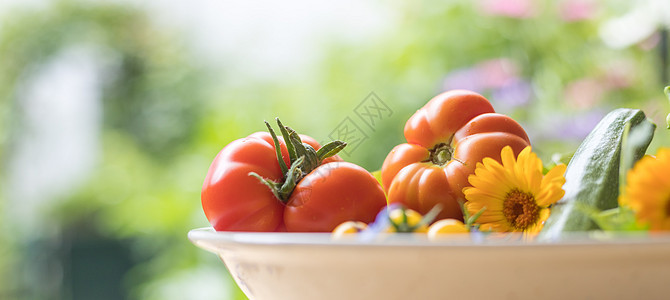 城市园艺 在自己的花园里种植的新鲜蔬菜 番茄 和草药后院农业种植园收获栽培地球食物生态健康乡村图片