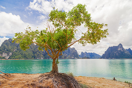 泰国或Chao Sok国家公园湖上有山的美树图片