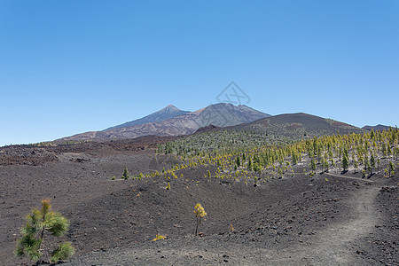 山地景观 在Teide火山附近(西班牙特纳里夫)植被稀少图片