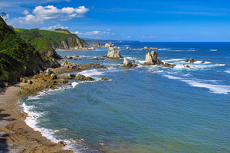 野生野生动物海岸海景海洋栖息地悬崖生态风景旅行避难所海滩图片