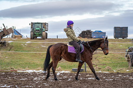 骑马在村里的农庄场马背动物牧场训练农村马术棕色场地良种乡村图片