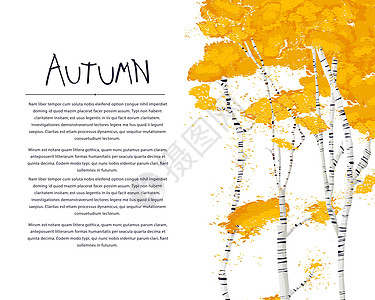 与白桦树的秋天卡片图片