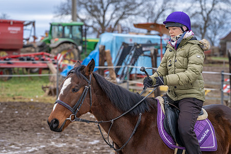 骑马在村里的农庄场良种场地动物农村森林牧场骑士运动娱乐骑术图片