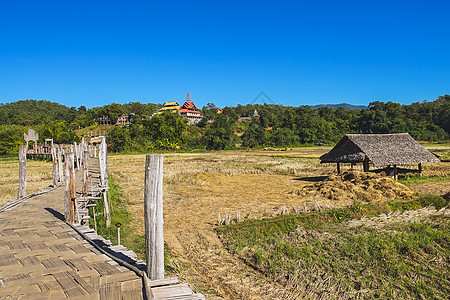 著名的竹桥 在梅洪子祖宗派桥旅游旅行田园风光行人吸引力目的地天桥天空蓝色图片