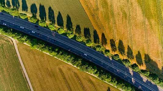 柏油路的顶视图穿过田野太阳绿色天线旅行乡村运输森林风景沥青国家图片