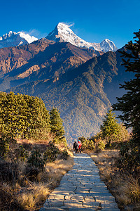 前往尼泊尔Poon山观视点的足迹图片