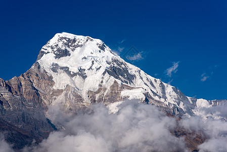 Annapurna 南部山峰 尼泊尔蓝天空背景天空日落爬坡高度蓝色旅行首脑远足森林风景图片
