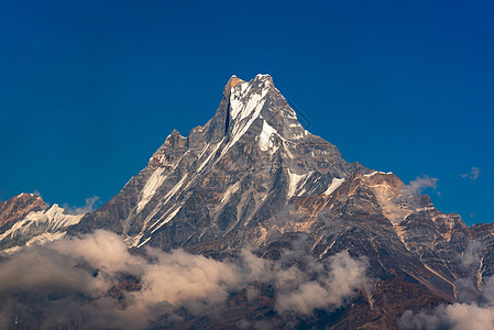 尼泊尔的鱼尾峰或马查普沙雷山 蓝天背景清晰全景日落高度旅行爬坡吸引力辉光蓝色首脑天空图片