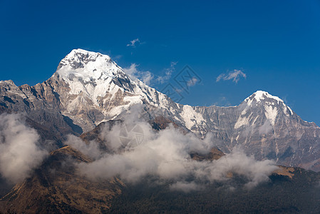 Annapurna 南部山峰 尼泊尔蓝天空背景森林旅行风景鱼尾辉光旅游蓝色远足首脑顶峰图片