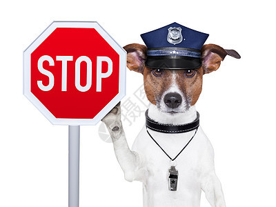 警犬小猎犬宠物法律犯罪危险安全帽子逮捕控制警察图片