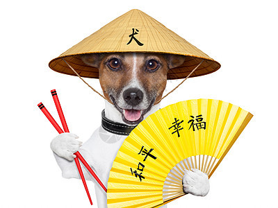 亚洲狗狗餐厅戏服扇子微笑文化帽子午餐锥体筷子传统图片