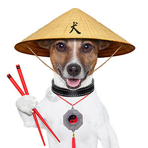 亚洲狗狗筷子小狗微笑帽子锥体厨师午餐传统食物小猎犬图片