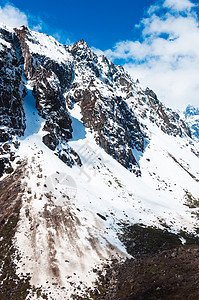 印度锡金北部的恰普塔河谷树木高山兰花游客旅游动物群石头海拔植物群杜鹃花图片