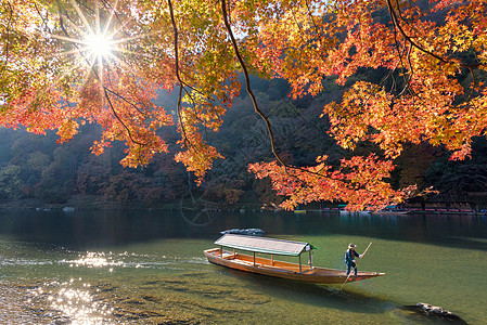 日本京都沿河秋季岚山的美丽自然景观 岚山是日本京都旅游胜地之一太阳竹子游客假期吸引力旅游旅行观光地标季节图片
