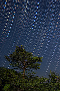 夜里在山上自然林中的大树上漫着恒星的足迹图片