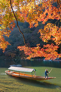 日本京都沿河秋季岚山的美丽自然景观 岚山是日本京都旅游胜地之一太阳游客旅游假期叶子吸引力旅行季节花园竹子图片