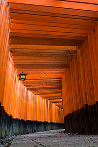 在日本京都旅游者吸引地标之一神庙的红色托里门路道艺妓旅行隧道寺庙神社文化旅游入口建筑学宗教图片