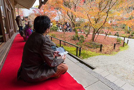 在日本京都的日本寺庙 观光者喜欢观看在泽园看绿叶建筑学木头文化神社地面建筑木材家具房间宗教图片