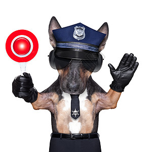 警用狗摩托车警察乐队犯罪帽子交通危险插图磁带侦探斗牛犬图片