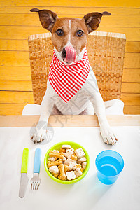 饥饿的狗厨房桌子美食刀具烹饪桌布喂养食物生物舌头图片
