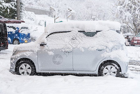 在日本川口子冬季 公共公园覆盖路和汽车上落下白雪植物季节庭园运输公园景观叶子森林场景自然景观图片