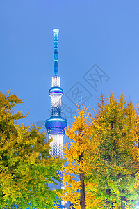 东京天树是日本新电视广播塔和东京夜间地标的标志性建筑物图片