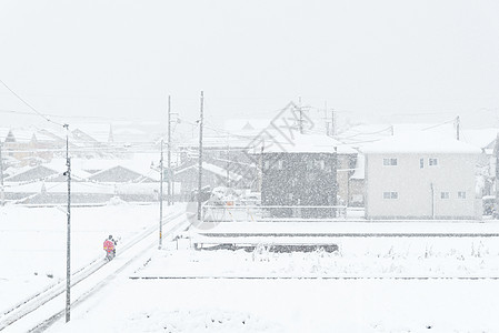 日本河口湖冬季新白雪飘落植物背景森林公园吸引力下雪场景季节叶子橙子图片