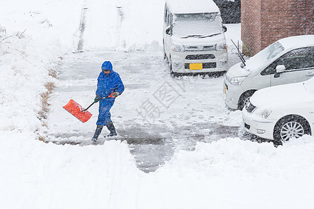 日本河口湖冬季新白雪飘落下雪植物橙子叶子公园背景场景天空季节森林图片