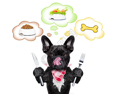有言语泡沫的饥饿狗小吃饮食烹饪斗牛犬想像力午餐演讲蔬菜桌布宠物图片
