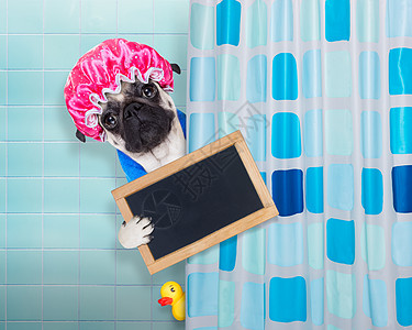 淋浴中的狗狗黑板沙龙气泡框架肥皂身体洗发水洗剂斗牛犬润肤图片