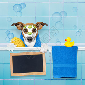 淋浴中的狗狗海绵海报皮肤黑板面具温泉浴缸刷子卫生宠物图片