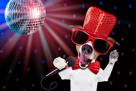卡拉OK唱狗快乐派对麦克风舞蹈享受打碟机宠物歌曲喜悦星星图片