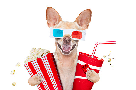 狗狗看电影观众玉米电视眼镜可乐流行音乐娱乐享受魅力宠物图片