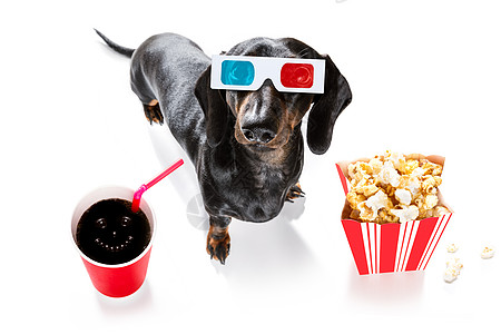 狗狗看电影大片眼镜娱乐幽默享受展示苏打小狗电影可乐图片