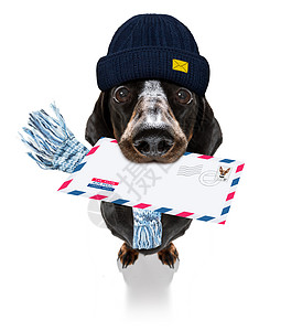 寄给邮差的警犬邮件盒子邮递员邮资展示服务明信片礼物空邮包装运输图片