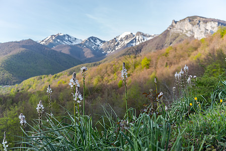 西班牙坎塔布里亚村旁村附近的山小路山脉公园场地国家农村天空山峰岩石蓝色图片