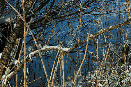 在阳光下 冰雪遮盖着树枝 与日积雪相对背景图片