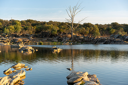 在葡萄牙和西班牙边界的阿伦乔Alentejo 夏天在瓜迪亚纳河上挂着岩石的美丽的树风景假期旅游地平线荒野全景草地树木环境农村图片