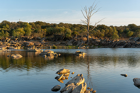 在葡萄牙和西班牙边界的阿伦乔Alentejo 夏天在瓜迪亚纳河上挂着岩石的美丽的树森林天空公园石头环境旅行全景木头蓝色树木图片