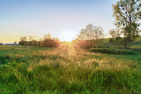 在一片草原上的大地上 景色优丽的夜晚风景晴天环境国家阳光太阳草地树枝日光木头日落图片