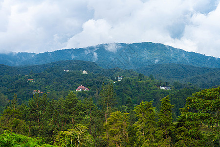 亚洲茂密山林的自然地貌景观旅行风景爬坡季节公园远足全景农村冒险土地图片