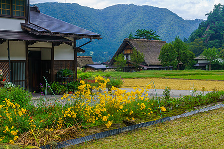 Gogimachi村农庄世界旅游农家地标村庄历史性房子三角形农场稻草图片