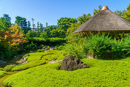 京都Taizoin寺的Yokoen园子花园文化花园妙心遗产退藏纪念碑公园地标历史旅游图片