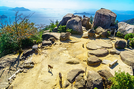 宫岛的米森山顶旅游公园风景文化森林地标首脑旅行天文台图片